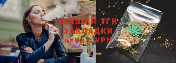 шишки Няндома