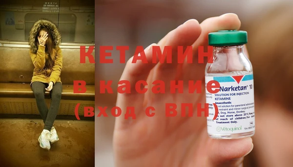 шишки Няндома