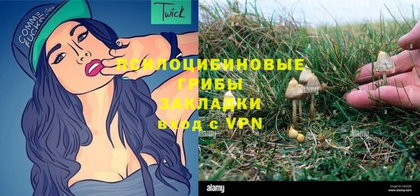 ALPHA PVP Сосновоборск