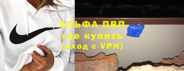 шишки Няндома