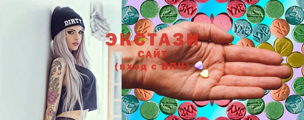 шишки Няндома