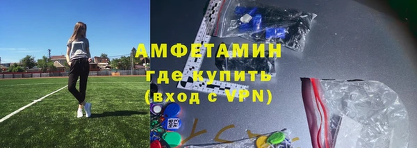 шишки Няндома