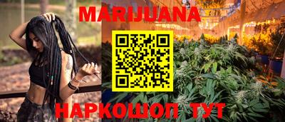 дживик Гай