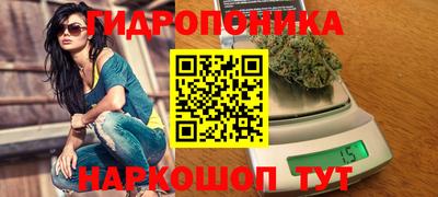 дживик Гай