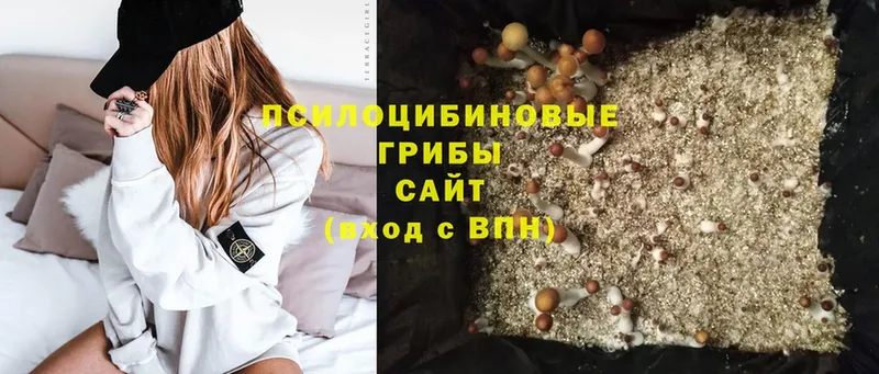 Галлюциногенные грибы Magic Shrooms  Камышин 