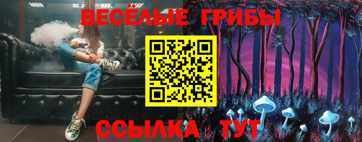 Псилоцибиновые грибы мухоморы  Псилоцибиновые грибы Magic Shrooms  Вход с VPN  Камышин 