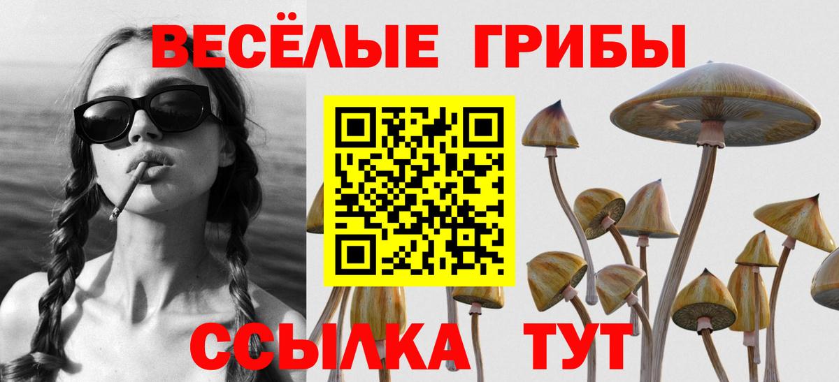 Галлюциногенные грибы GOLDEN TEACHER Камышин