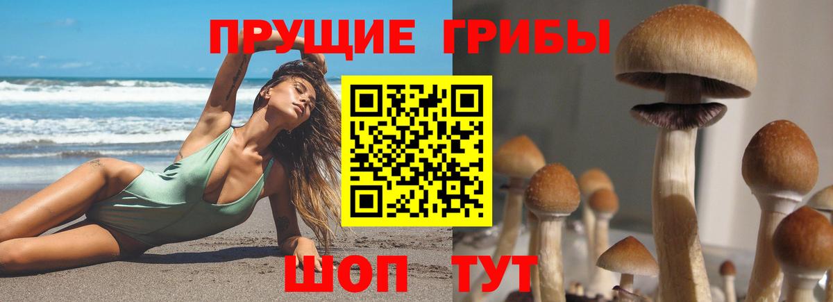 ГЕРОИН  Альфа ПВП СОЛЬ кристаллы  МЕФ кристаллы  Бошки Шишки  Камышин  Кокаин  Гашиш  АМФЕТАМИН  